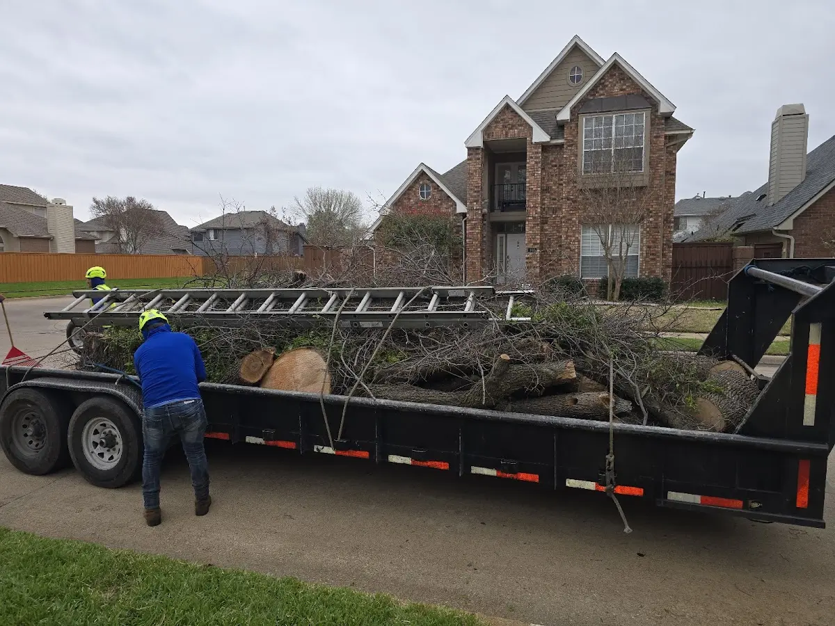 Expert Tree Fertilization with proper safety equipment in Northeast Harbor